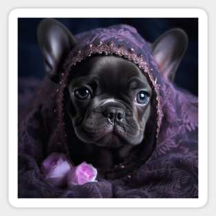 Frenchie with a scarf Sticker